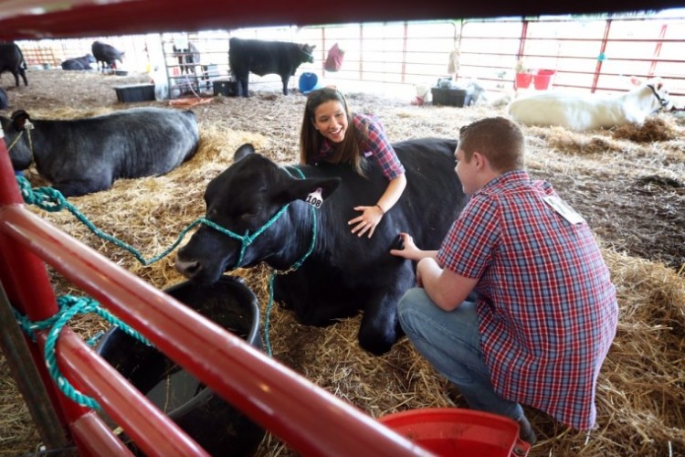 Chesapeake 4-H Livestock Club Show & Sale